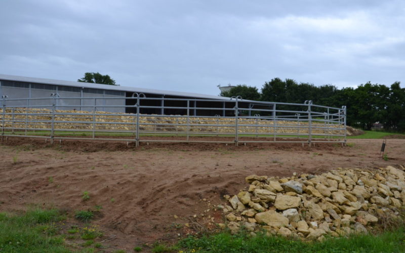 Haras-de-Tigran-Credit-Haras-de-Tigran-28JPG##Haras de Tigran - Crédit Haras de Tigran  (28)##Haras de Tigran##