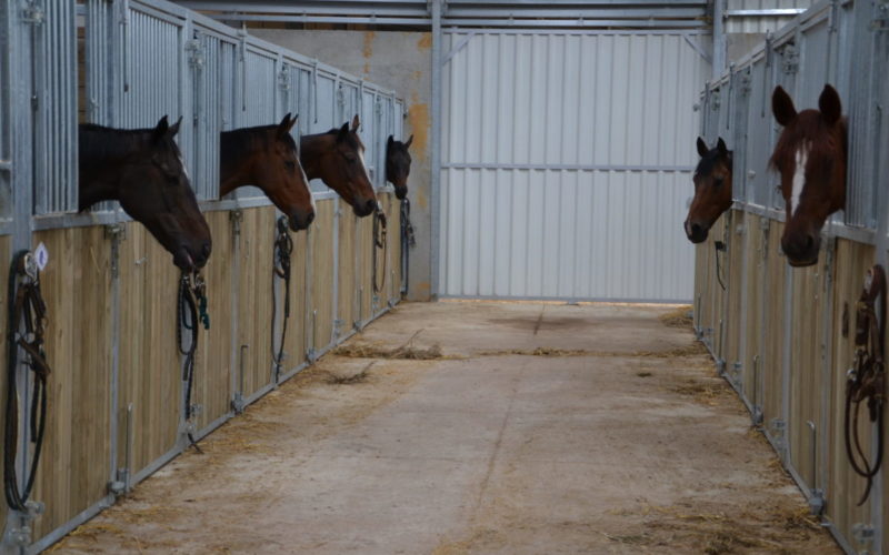 Haras-de-Tigran-Credit-Haras-de-Tigran-38JPG##Haras de Tigran - Crédit Haras de Tigran  (38)##Haras de Tigran##