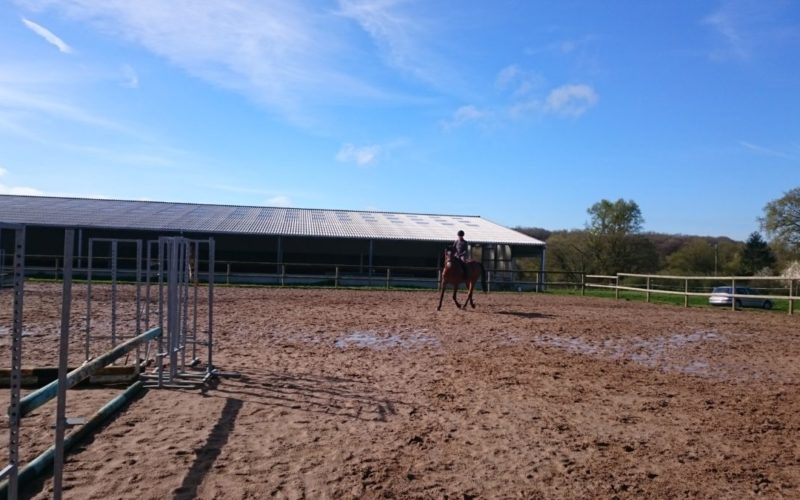 Haras-de-Tigran-droit-OT-23JPG##Haras de Tigran - droit OT (23)##OT La charite##