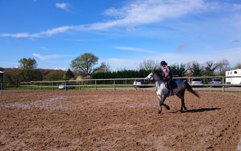 Haras-de-Tigran-droit-OT-37JPG##Haras de Tigran - droit OT (37)##OT La charite##