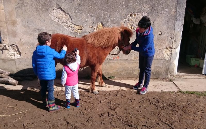 Haras-de-Tigran-droit-OT-41JPG##Haras de Tigran - droit OT (41)##OT La charite##