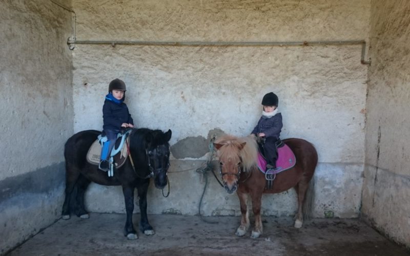 Haras-de-Tigran-droit-OT-45JPG##Haras de Tigran - droit OT (45)##OT La charite##