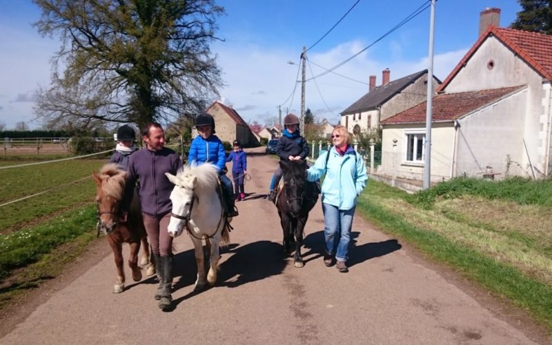 Haras-de-Tigran-droit-OT-57JPG##Haras de Tigran - droit OT (57)##OT La charite##
