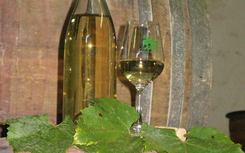 IMG-1374JPG##vignobles cotes de la charite##OT La Charité##