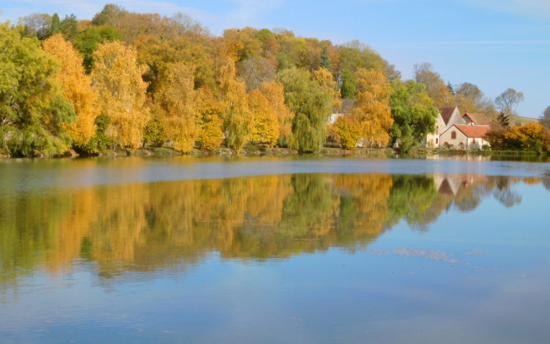 arthel-automne-credits-roselyne-paquet-1JPG##arthel_automne##Roselyne Paquet##