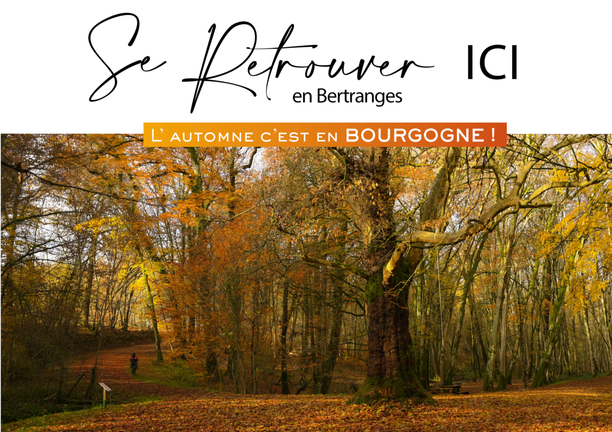 L'automne c'est en Bourgogne