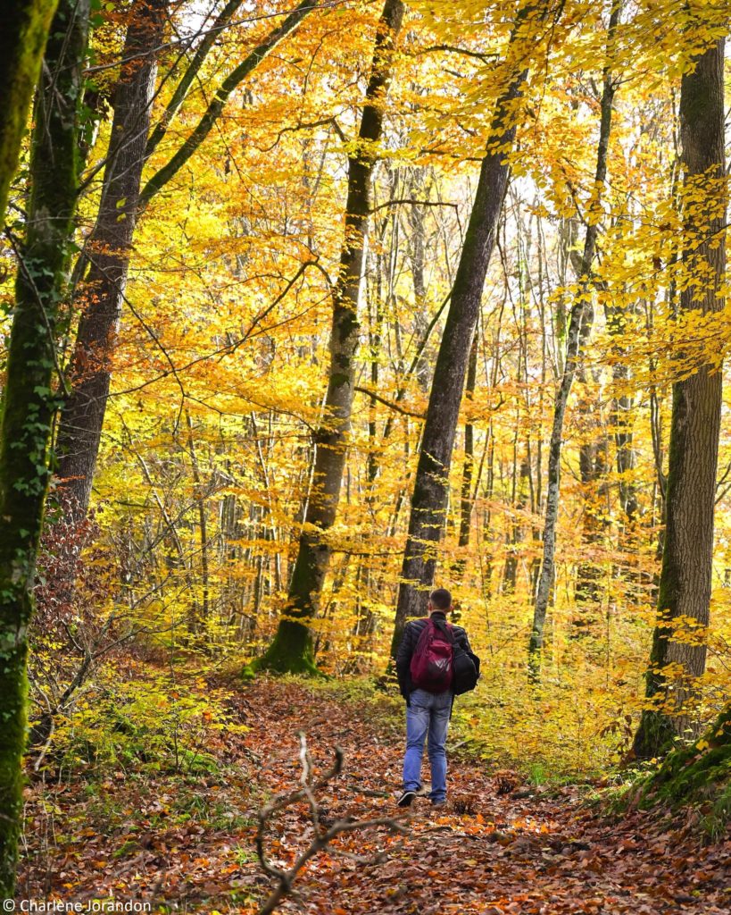 spots photos automne bertranges