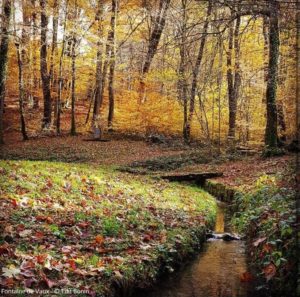 spots photos automne bertranges