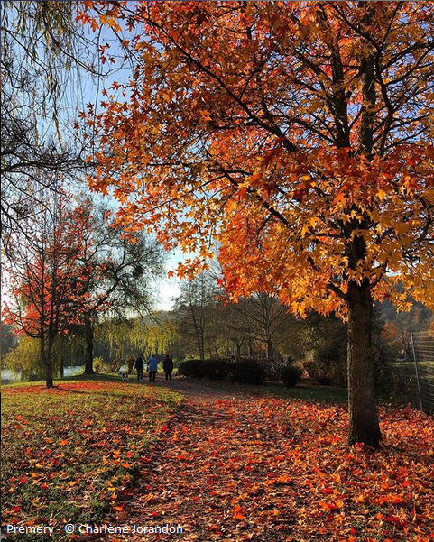 spots photos automne bertranges