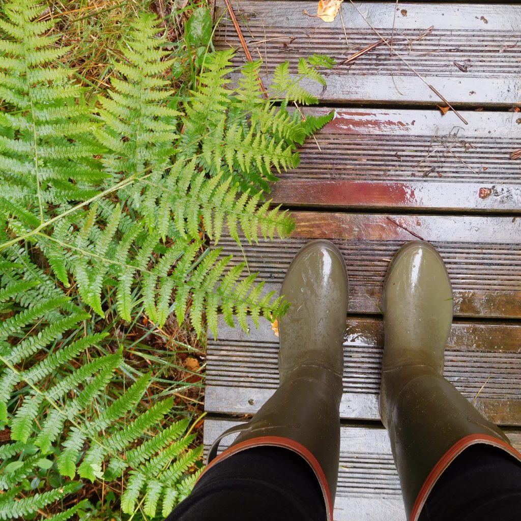 L'automne, c'est en balade !