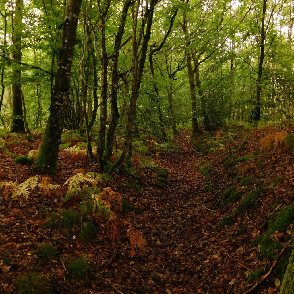 L'automne, c'est en balade !