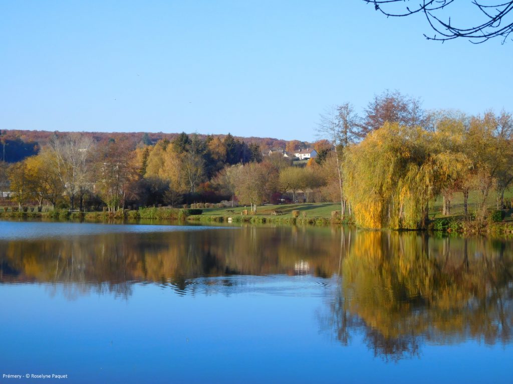 spots photos automne bertranges