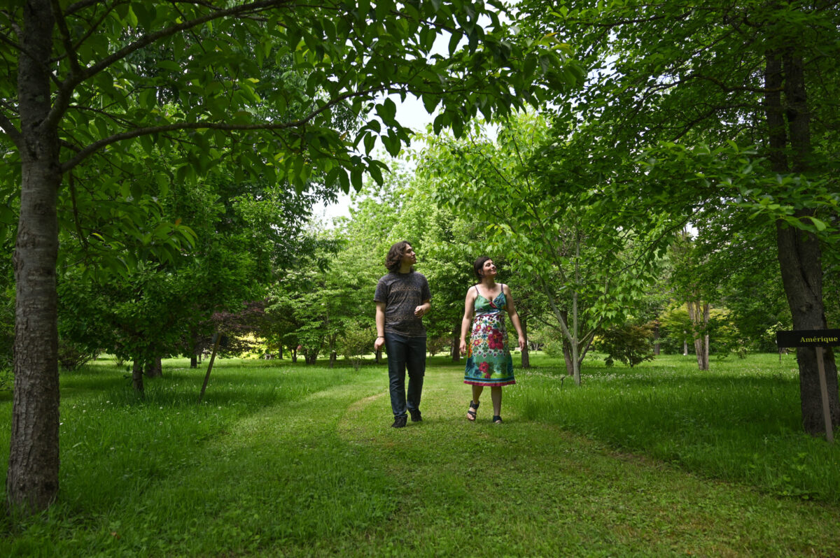 arboretum adeline