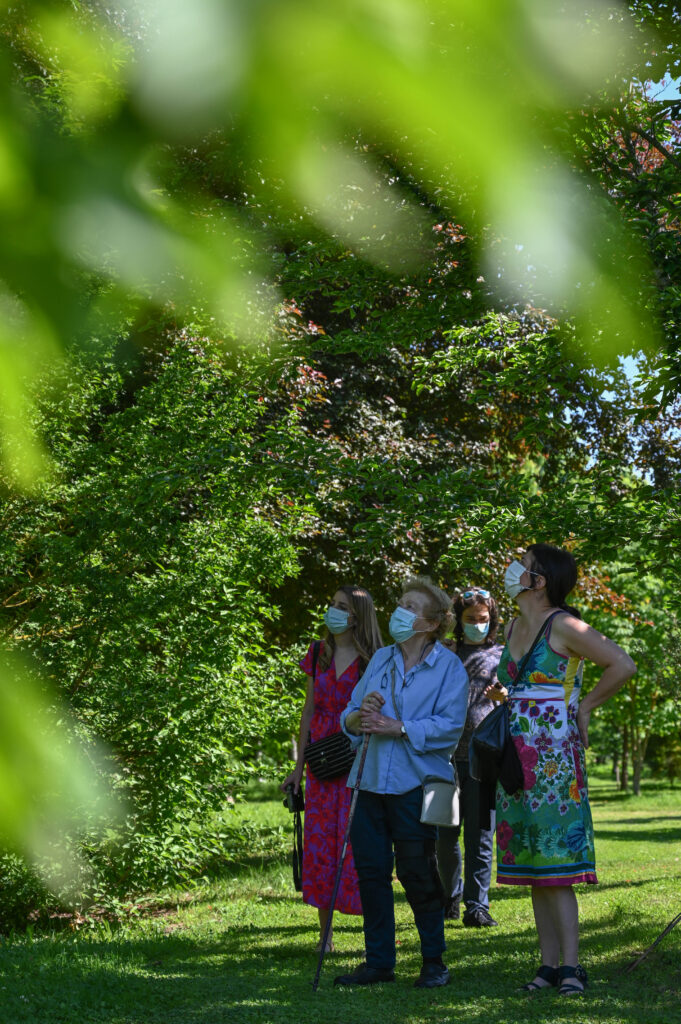 arboretum adeline