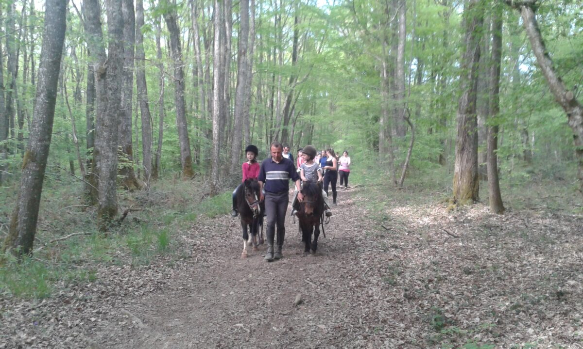 Week-end sportif en Bertranges