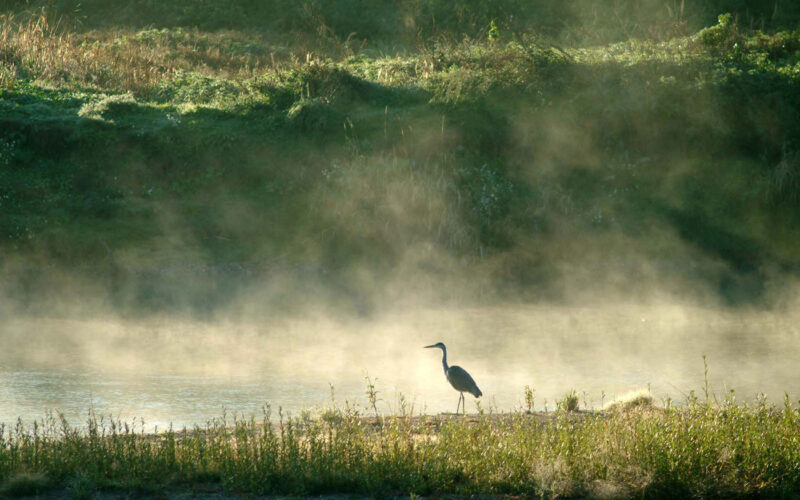 Loire-Sauvage-S-Jean-Baptiste