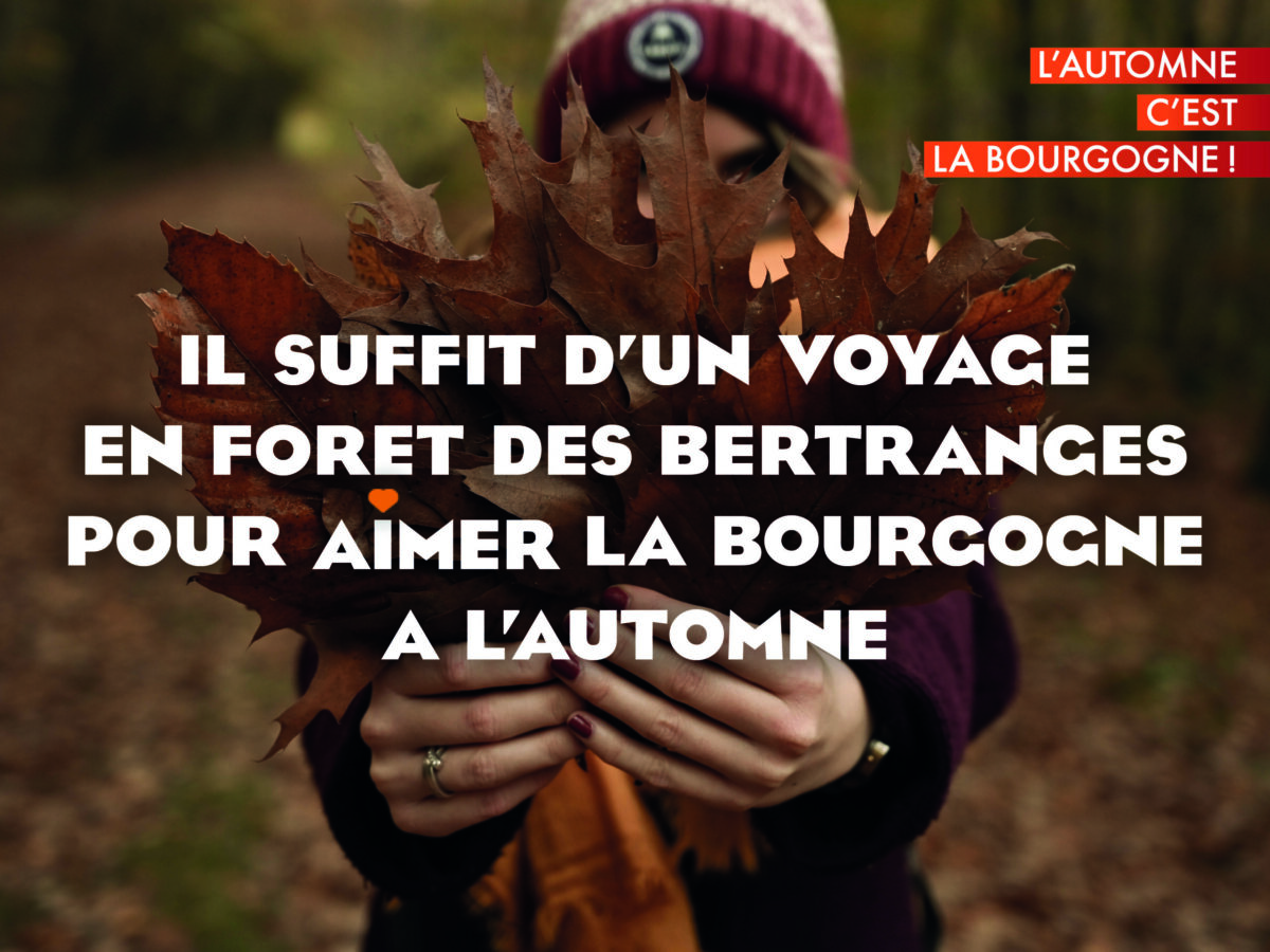 Automne en Bourgogne