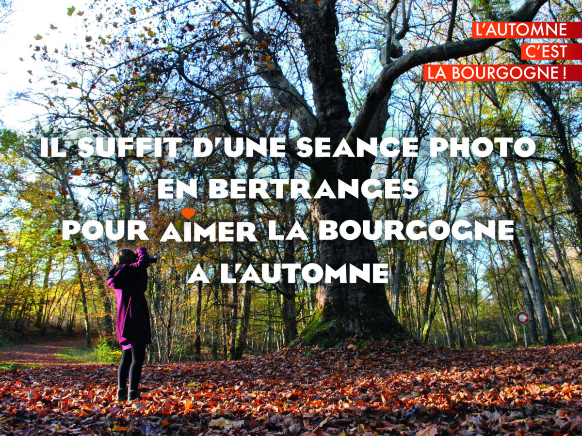 L'automne c'est la Bourgogne