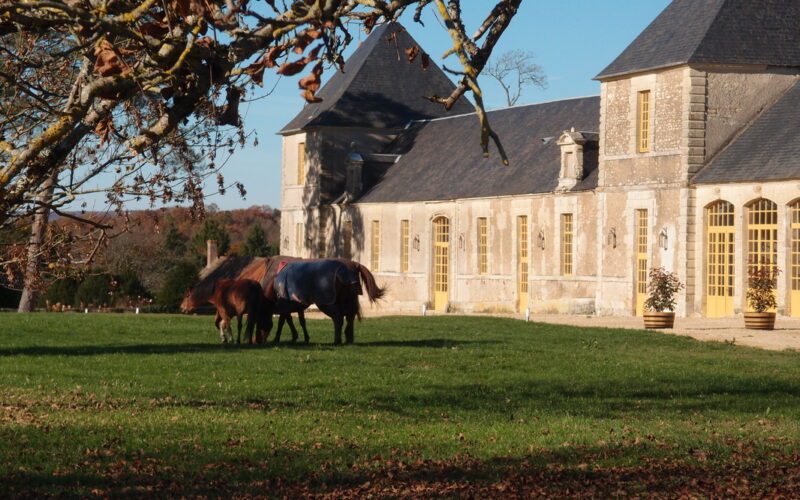 restaurant-les-Bordes-orig