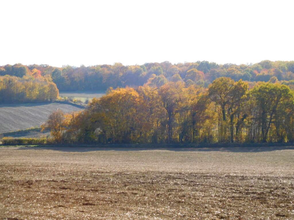 Alentours de Giry