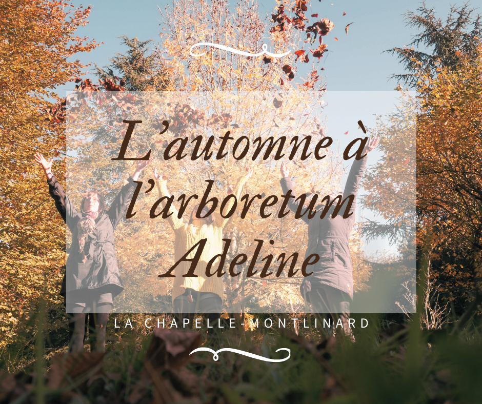 arboretum adeline en automne