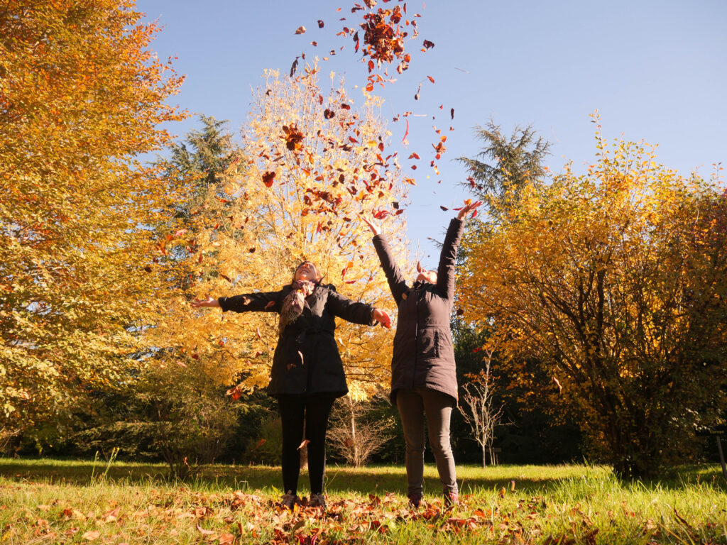 arboretum automne