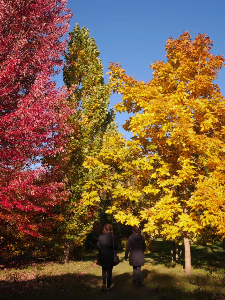 arboretum automne