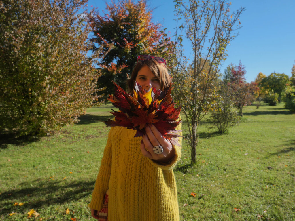 arboretum automne