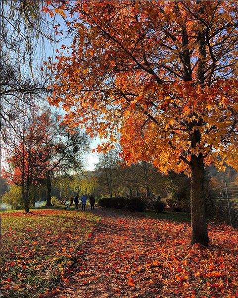 Prémery en automne