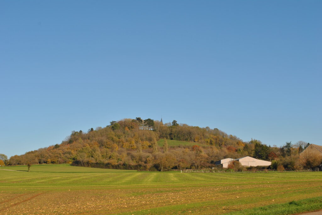 Montenoison automne