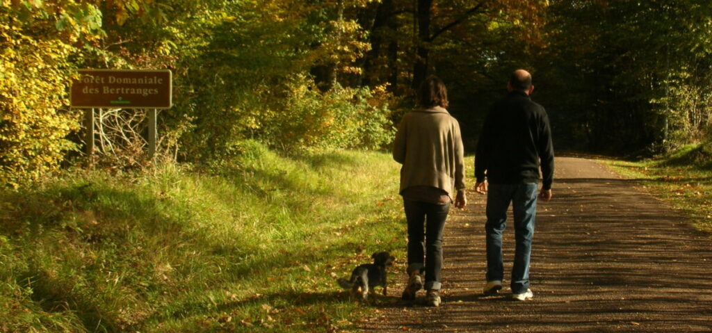 Geocaching en hiver