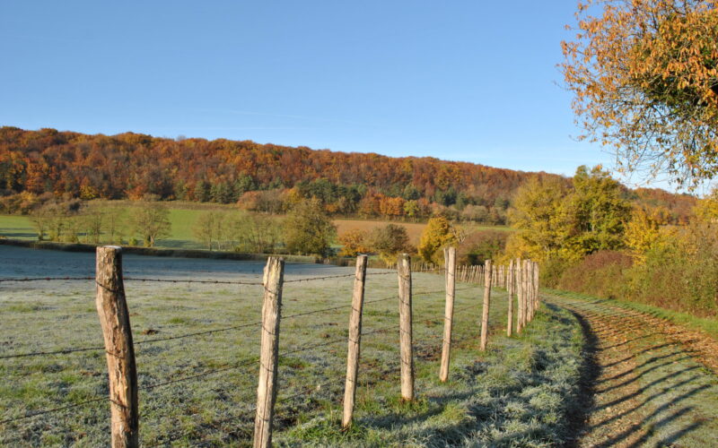 circuit-des-3-chateaux-Montenoison-Giry-Oulon-credits-marion-capelas-11-JPGcircuit-des-3-chateaux-MCapelas##