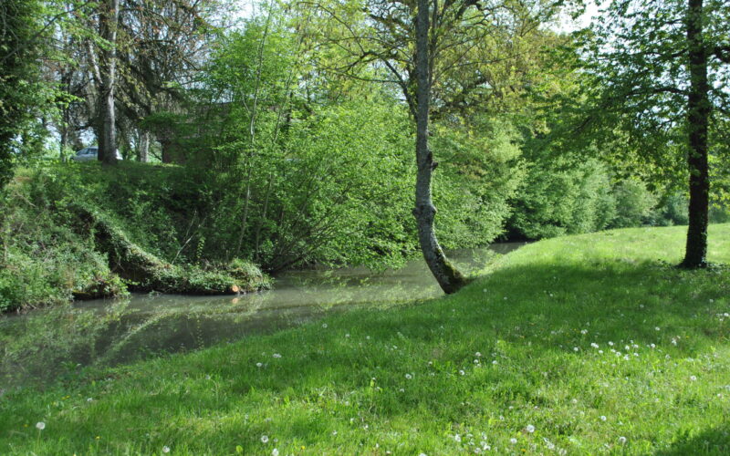 Narcy-le-foulon-credit-Marion-Capelas-1-3JPGNarcy-MCapelas##