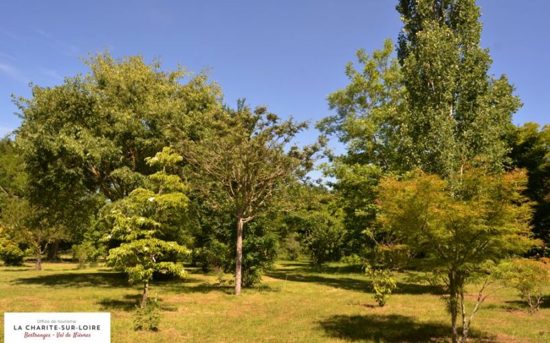 arboretum-adeline-credits-charlene-jorandon-1jpg##arboretum adeline ##Charlène Jorandon##