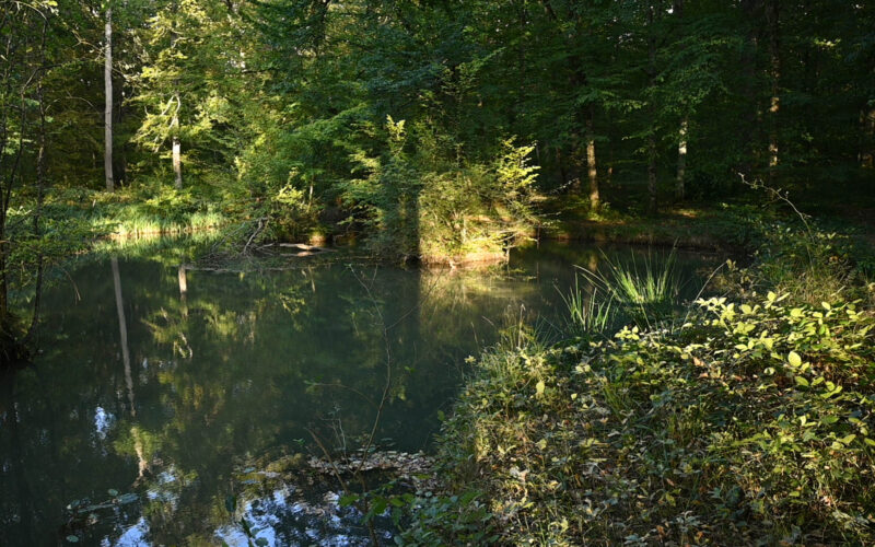 fontaine-bougers-septembre-2020-credits-charlene-jorandon-22-jpgfontaine-bougersCJoraandon##