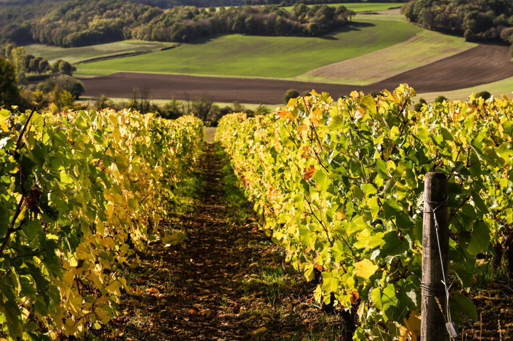 Les 5 randos à faire absolument en automne