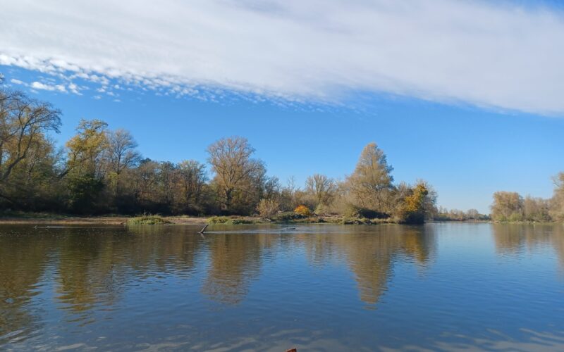 20221113-134623-7154jpg##L'EPINOCHE - BATEAU PROMENADE TRADITIONNEL DE LOIRE##Guirado Lionel##