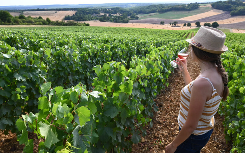 vignoble-charite-credits-charlene-jorandon-ot-61jpg##vignoble de Côtes de La Charité##Charlène Jorandon##