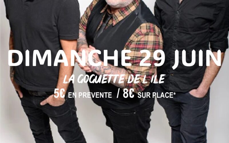 AFFICHE-LES-IDIOTSjpg##AFFICHE LES IDIOTS##LES IDIOTS##