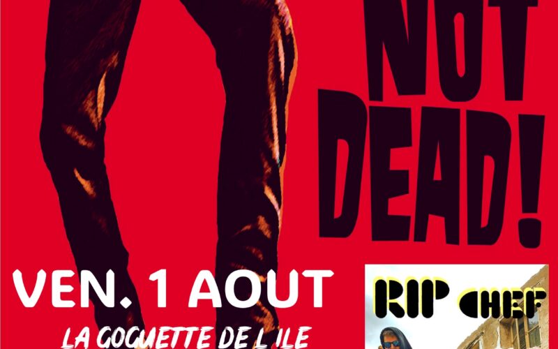 affiche-bob-RIP-CHEFjpg##affiche bob   RIP CHEF##BOB##