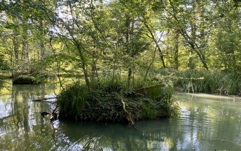 fontaine-des-bougers-aout-2024-credits-charlene-jorandon-27JPEG##Fontaine des bougers##Charlène Jorandon##