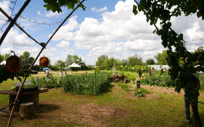 p1200382-28a4525f81d14cac9754992e3087af7ejpg##Au Potager de La Courge