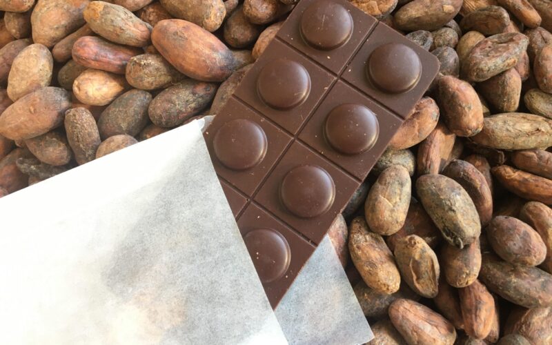 TabletteOfficine02JPG##TabletteMedicaments_Loffocineducacao##Claire Tabbagh##