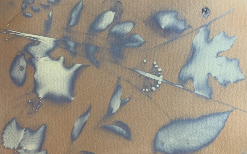 Avant-rincage-a-l-eauJPG##Avant rincage à l'eau##Nature Au Coeur##