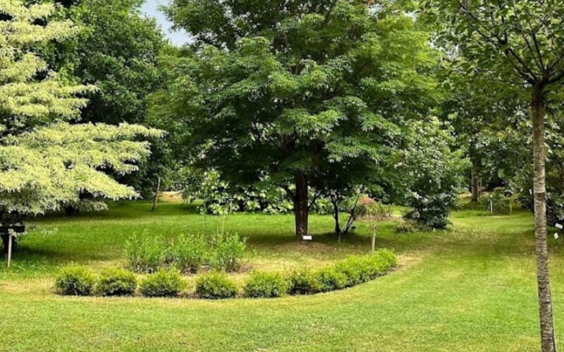 Entree-Arboretum-Adelinejpg##Entrée Arboretum Adeline##Arboretum_Adeline##