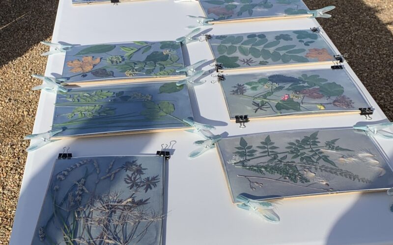 Exposition-au-soleilJPG##Exposition au soleil##Nature Au Coeur##