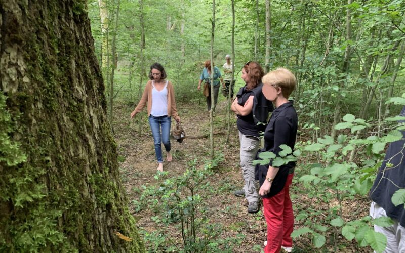 IMG-4816-2JPG##IMG_4816##Nature Au Coeur## IMG-4816-2JPG##IMG_4816##Nature Au Coeur##