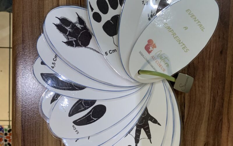 IMG-6394-5JPG##IMG_6394##Nature Au Coeur##