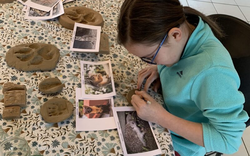 IMG-6413-3JPG##IMG_6413##Nature Au Coeur##