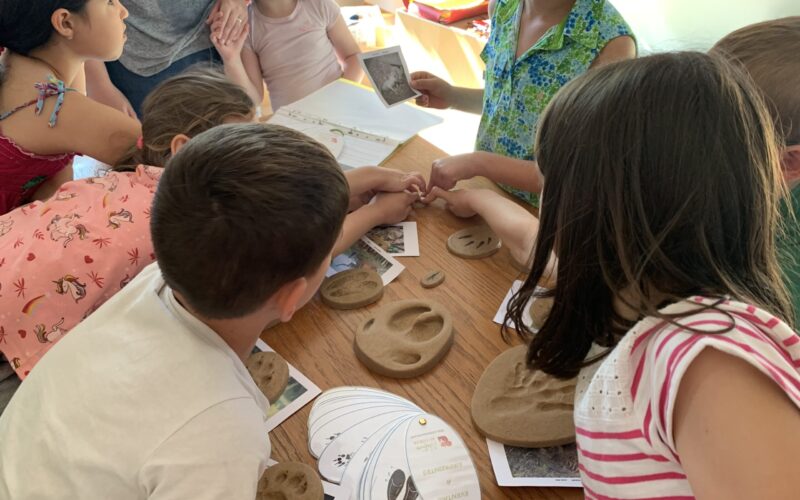 IMG-8164-4JPG##IMG_8164##Nature Au Coeur##